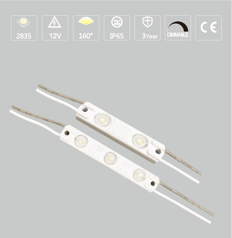 ST2-J Waterproof IP65 LED Module DC12V