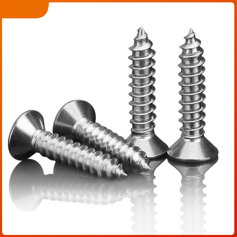 3D Sign  304 Stainless Steel Countersunk Head Screws